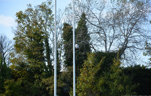 59ecc441c5d4b_DSC3245PHIL.C221017.JPG