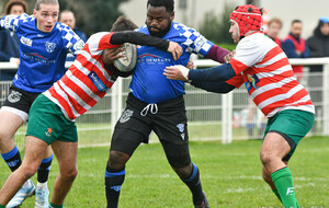 Match Reserve Parisis RC VS Terre de France Rugby 