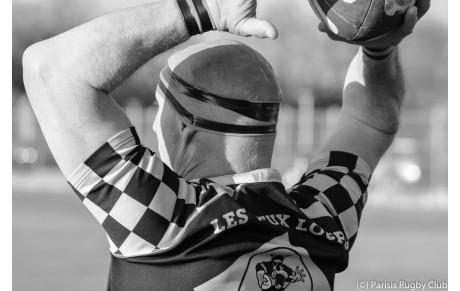 Résultat du match des Vieux Loups Parisis RC VS  Maule Black du Vendredi 18 Janvier 2020